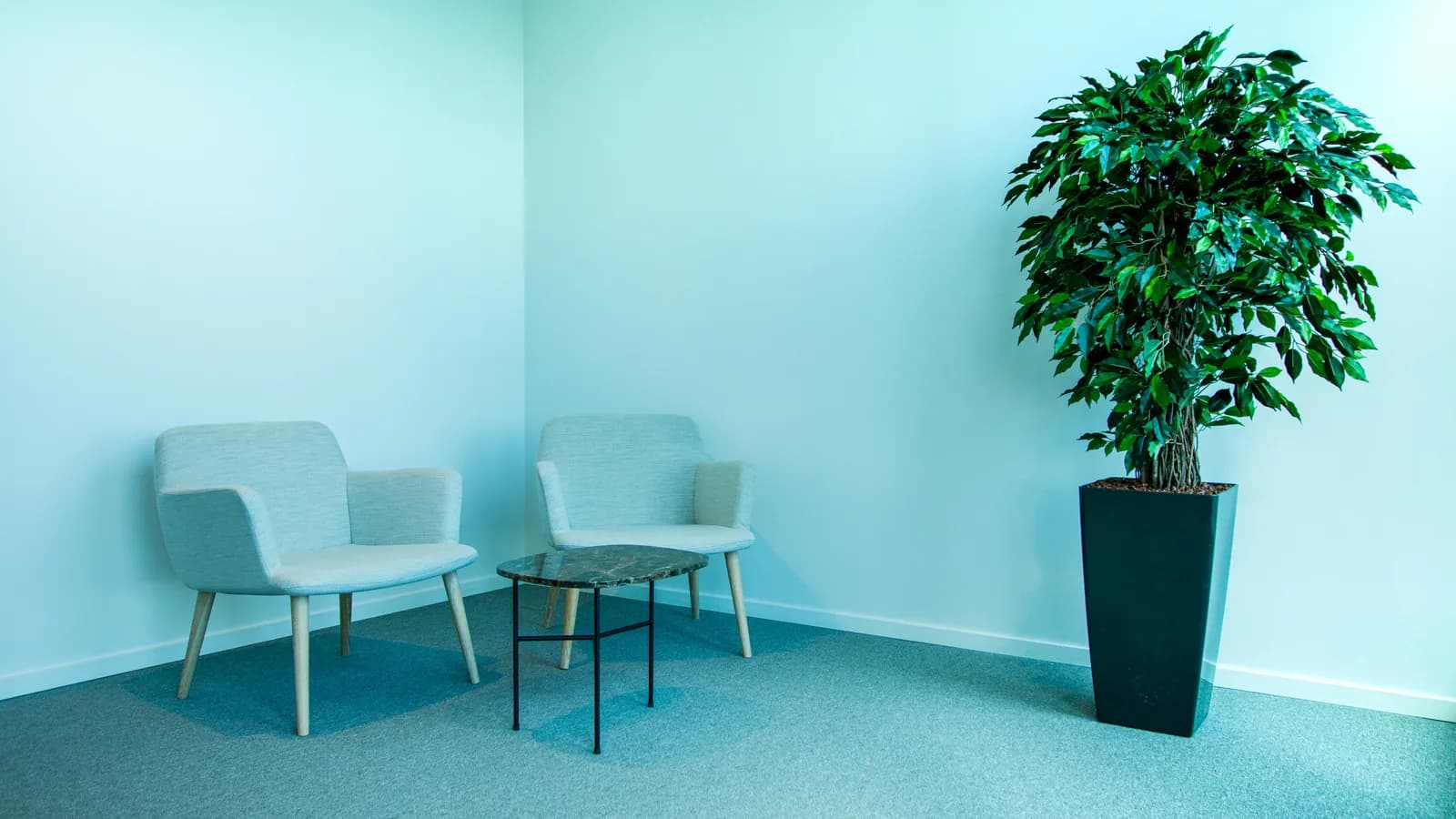 Modern office interior, representing immigration interpreting