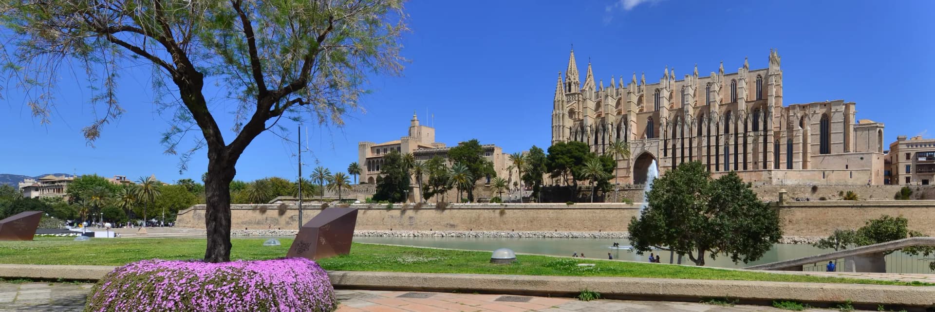 Wide view of Palma de Mallorca's waterfront and cathedral