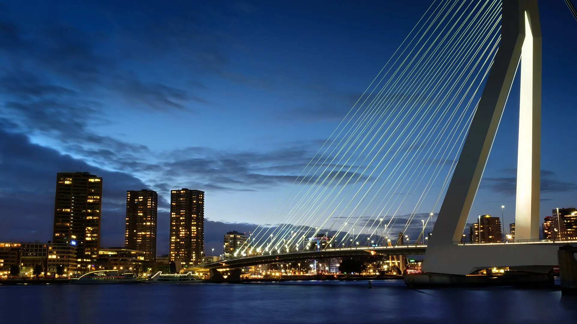 The Erasmus Bridge and the Rotterdam skyline at dusk