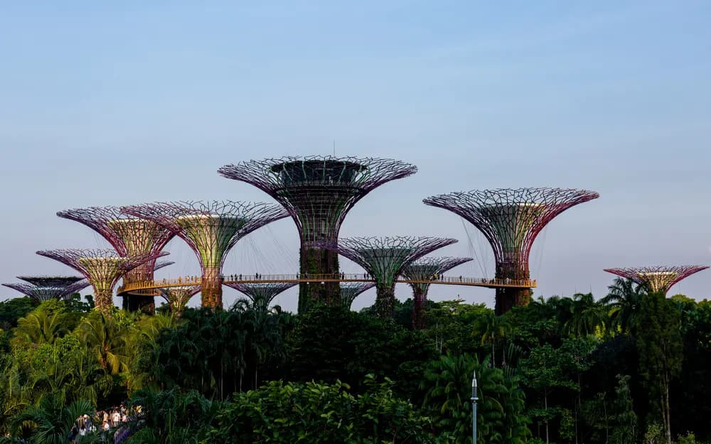 The Supertree Grove at Gardens by the Bay, Singapore