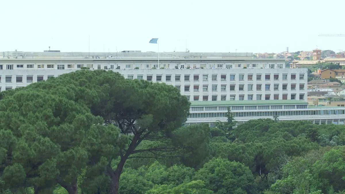 FAO headquarters building in Rome seen across the pine trees