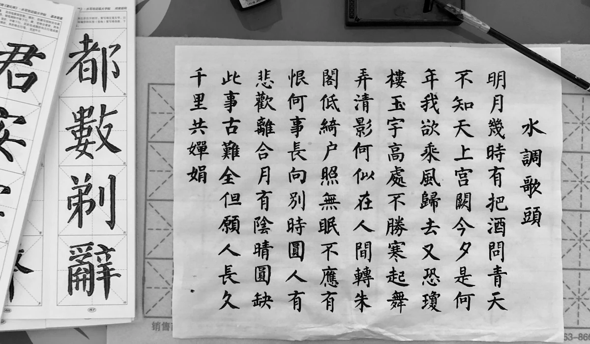 Chinese calligraphy written in brush script on paper