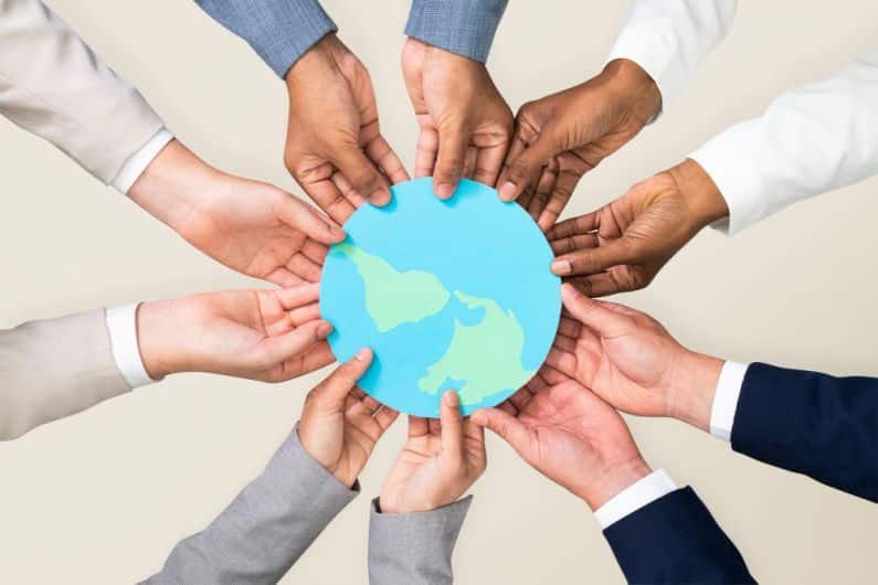 Translation services